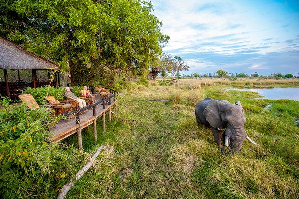 Guest viewing platform Delta Camp Okavango Delta Botswana Guest viewing platform Delta Camp Okavango Delta Botswana