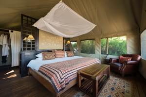 Desert Rhino Camp Bedroom