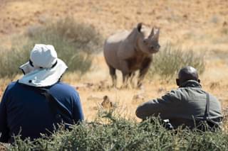 Desert  Rhino  Camp Guided Walk