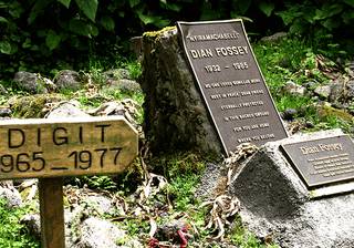 Dian Fossey Gorilla Gravesite