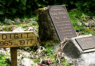 Dian Fossey Gorilla Gravesite Dian Fossey Gorilla Gravesite