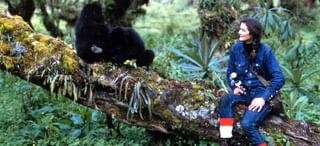 Dian Fossey Guardian Of Gorillas Dian Fossey Guardian Of Gorillas