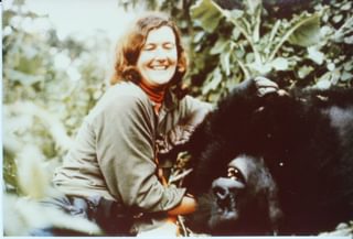 Dian Fossey With Digit Dian Fossey With Digit