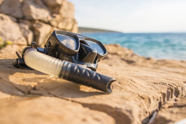 Diving Canva Pro Diving Canva Pro