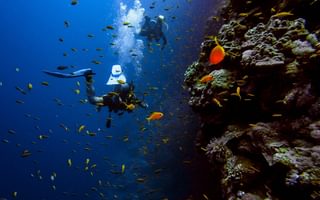 Diving Mozambique Diving Mozambique