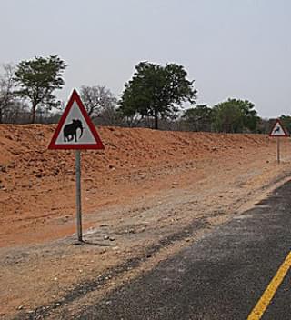 Driving Botswana