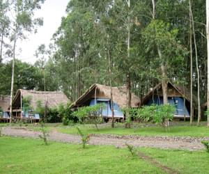 Eco Omo Safari Lodge