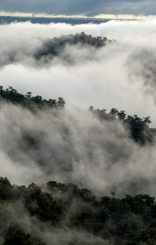 Mashpi Lodge Ecuadorian Cloud Forest Ecuador