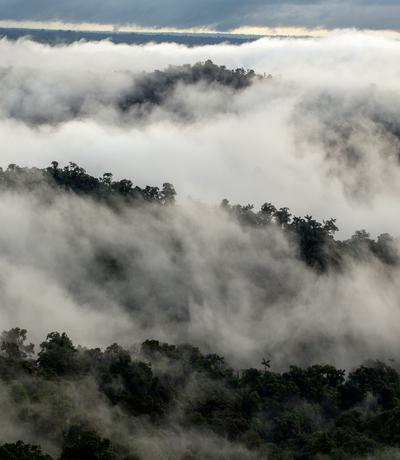 MP80022 Landscape rainforest clouds 1