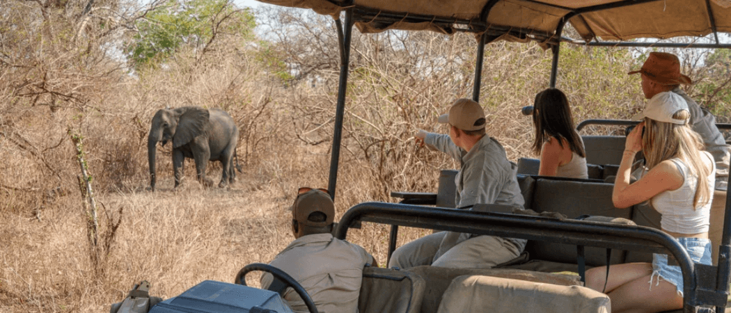 Elephant game drive Mkulumadzi Lodge Malawi website