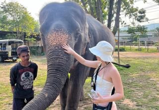Elephant nia landscape Elephant nia landscape