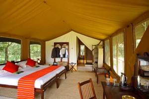 Elephant  Pepper  Camp  Luxury  Safari  Tents 6