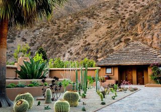 Casa Molle cacti Casa Molle cacti