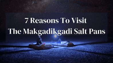 Experience Makgadikdai Salt Pans