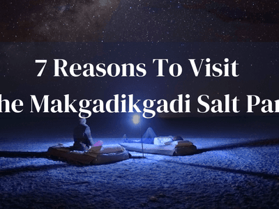 Experience Makgadikdai Salt Pans