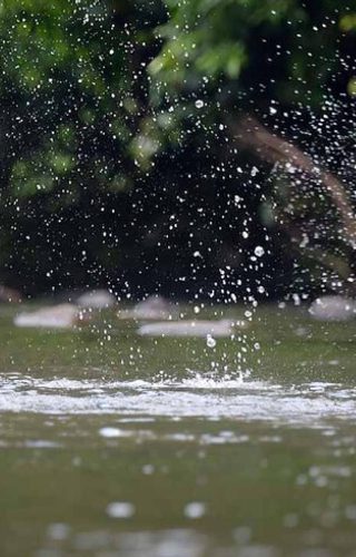 Borneo family Rainforest Lodge