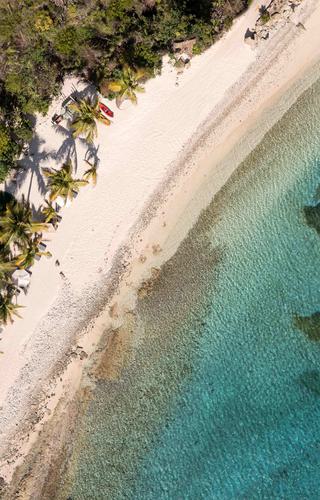 Moskito Island Manchioneel Beach Aerial