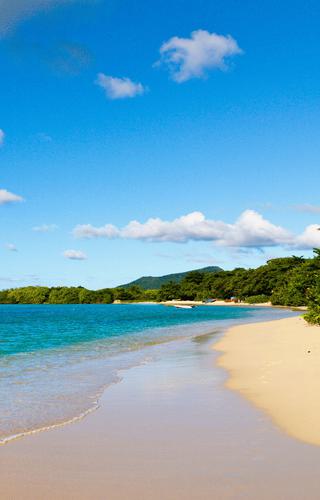 Paradise Beach Grenada Canva pro