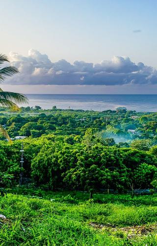 St Thomas Jamaica Canva Pro