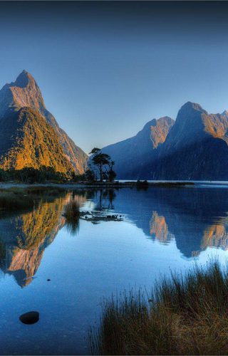 Scenic Fiordland Cabot Lodge