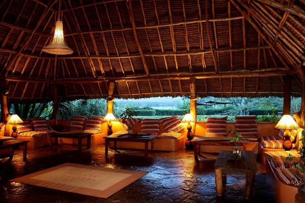 Flamingo Hill Camp Relax Area Flamingo Hill Camp Relax Area