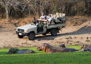 Flatdogs Camp Game Drive With Hippo Flatdogs Camp Game Drive With Hippo