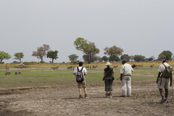 Footsteps Across The Delta Walking Footsteps Across The Delta Walking