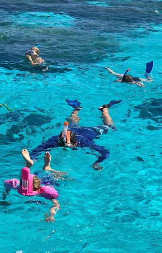 BOB Authentic Shark Lagoon Safari 31 Bora Bora