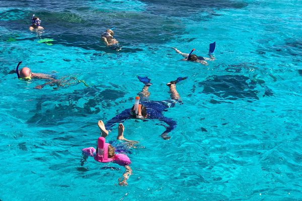 BOB Authentic Shark Lagoon Safari 31 Bora Bora BOB Authentic Shark Lagoon Safari 31 Bora Bora