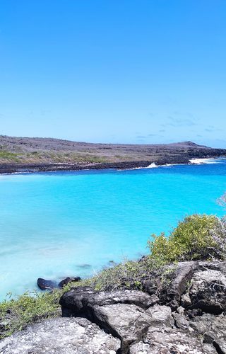 Galapagos g00b913249 1280