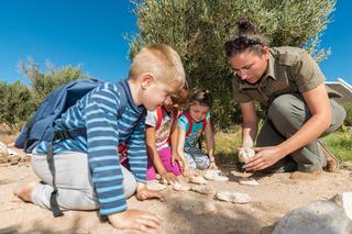 Gallery 33 363 Kids On Safari 1 Web