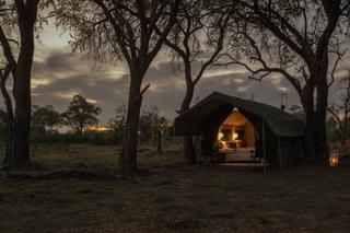 Golden Africa Safaris Guest Tents At Dusk