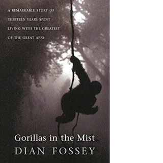 Gorillas In The Miist Gorillas In The Miist