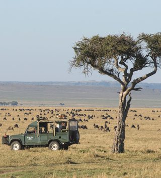 Governors Camp Migration Safari Governors Camp Migration Safari