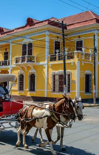 Granada horse Cart min