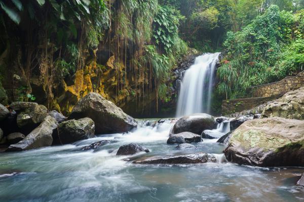 Annandale Waterfall in Grenada by Dietmar Denger Annandale Waterfall in Grenada by Dietmar Denger
