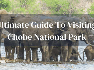 Guide To Chobe Botswana