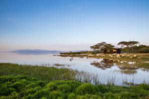 Hara  Langano  Lodge On  Lake