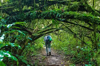 Hiking Sao Tome 115953