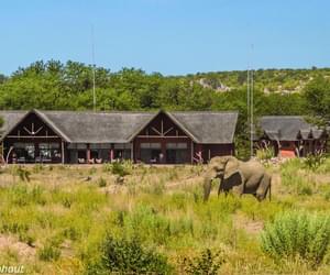 Hobatere Lodge Elepants