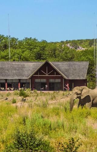 Hobatere Lodge Elepants