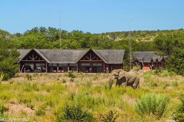 Hobatere Lodge Elepants Hobatere Lodge Elepants