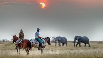 Horseback Safari Kenya