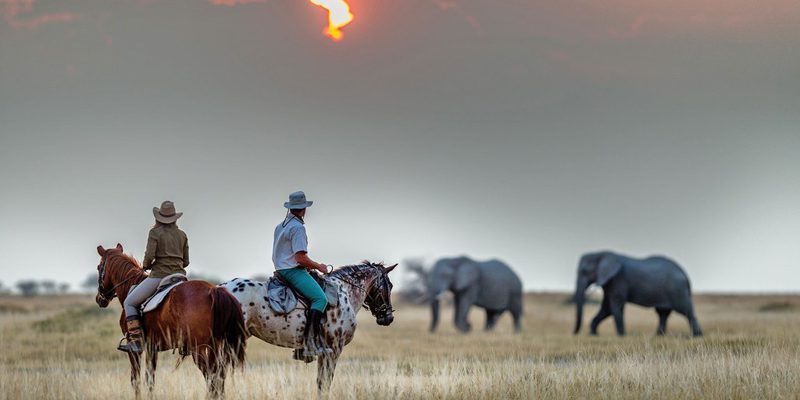 Horseback Safari Kenya Horseback Safari Kenya