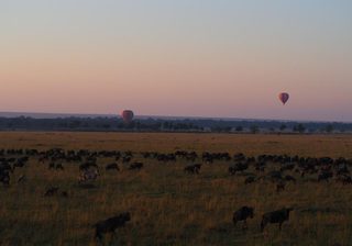 Hot Air Balloon