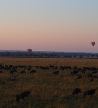 Hot Air Balloon