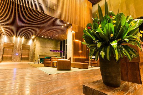 Lobby hotel Bioxury Bogota Colombia Lobby hotel Bioxury Bogota Colombia