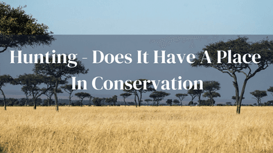 Hunting And Conservation