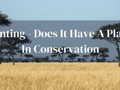 Hunting And Conservation