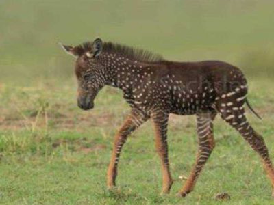 Ilcrovih7Bcrgz5D7F92430A2Ca Ilcrovih7Bcrgz5D7F92430A2Ca